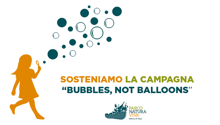 bubbles-not-balloons-campaign.jpg