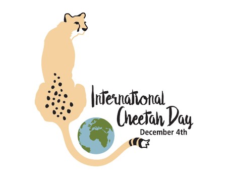 international-cheetah-day.jpg