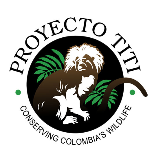 proyecto-titi-web.jpg