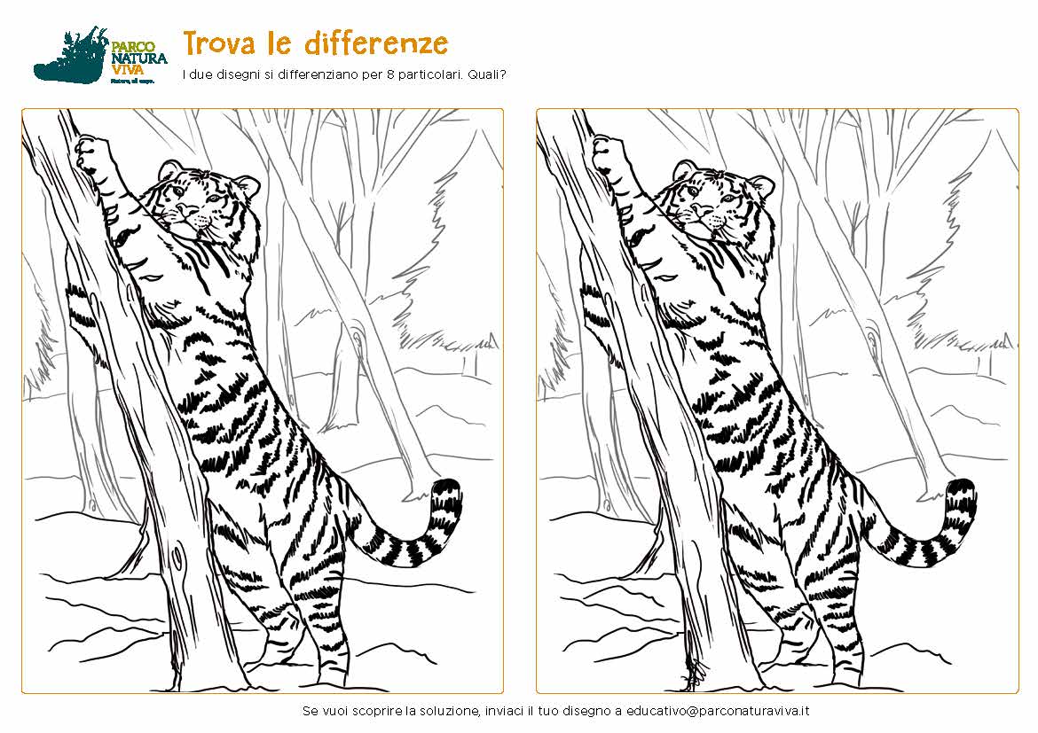 trova-differenze-tigre-2021.jpg