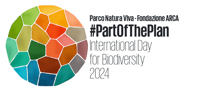 22-may-biodiversity-day-en.png