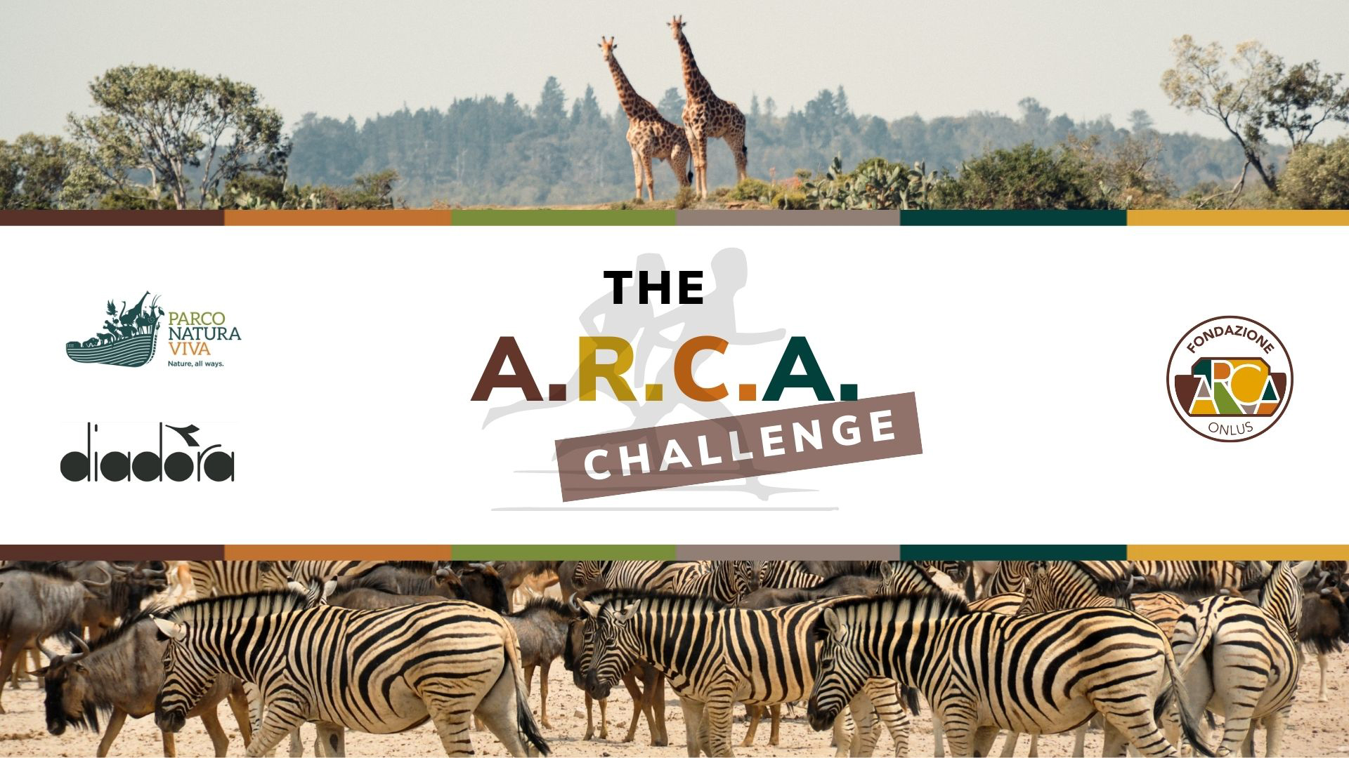 arca-challenge-2021.jpg