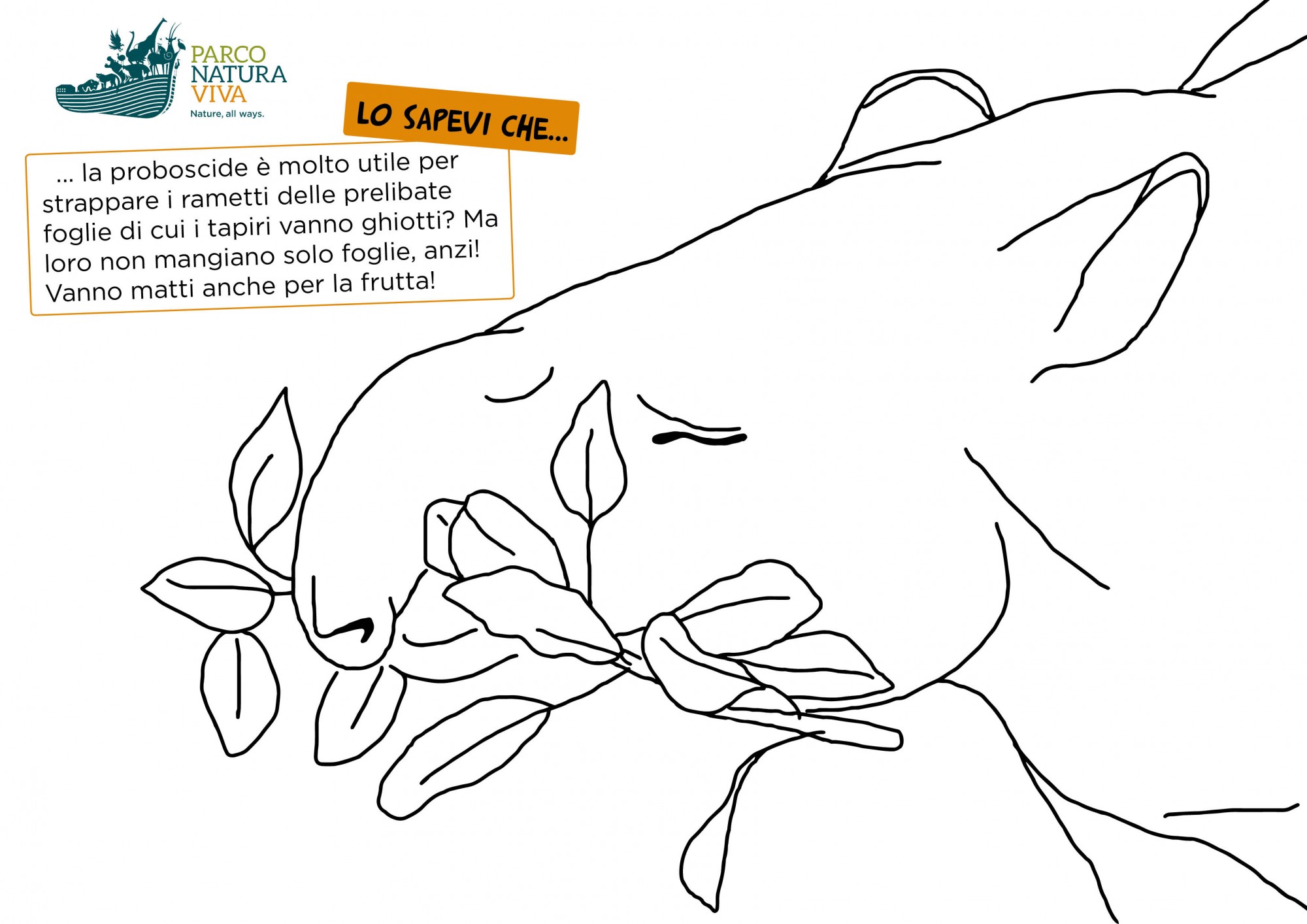 disegno-tapiro-foglie.jpg