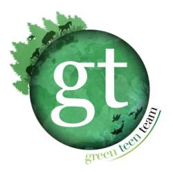 gtt-logo-transparent-1-250x250.png