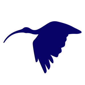 ibis-eremita-icon.jpg