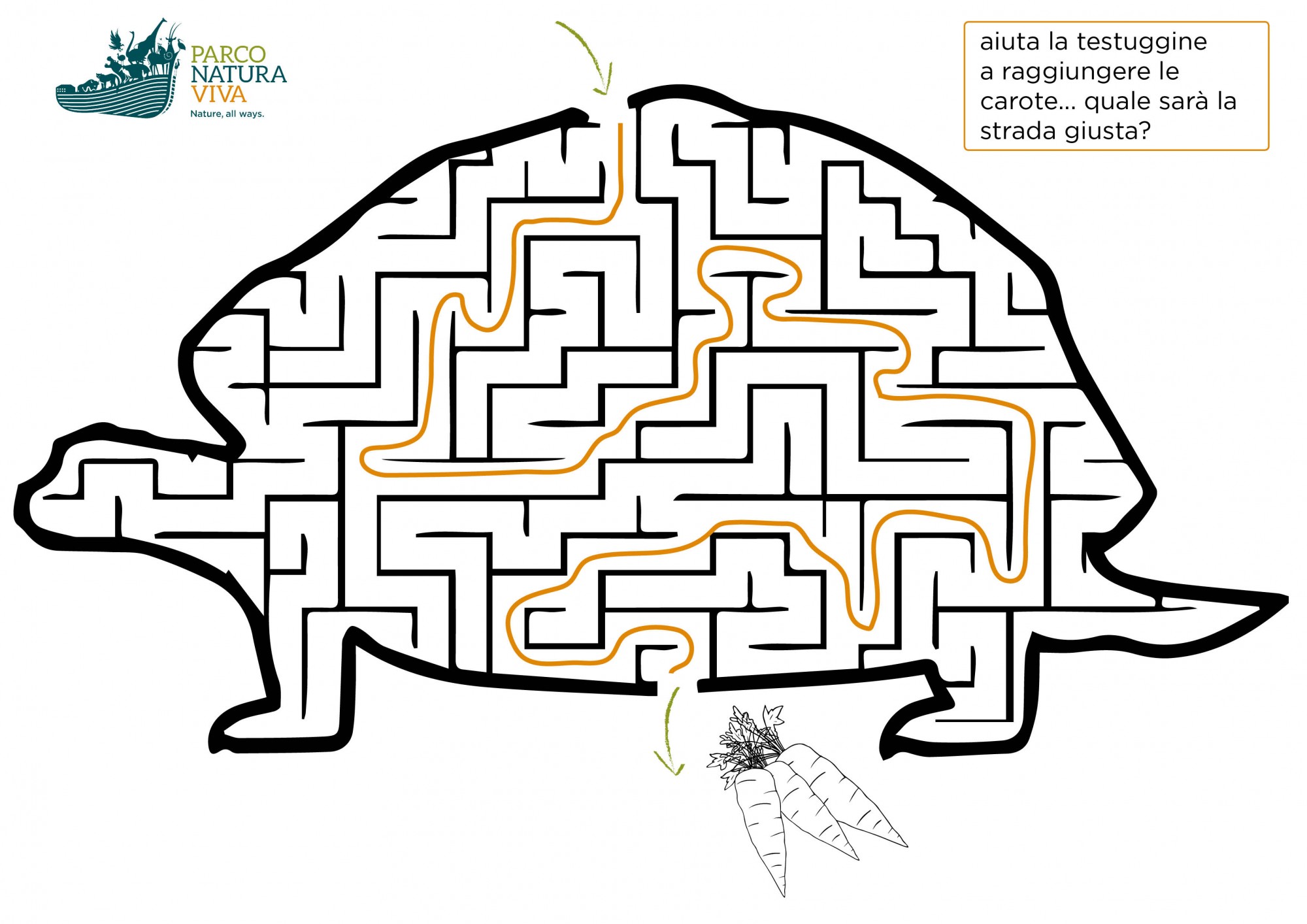 labirinto-tartaruga-soluzione.jpg