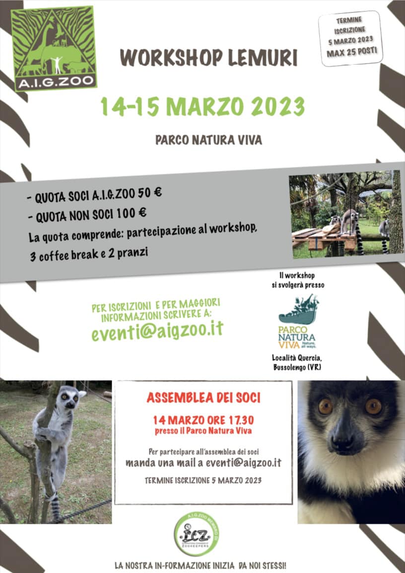 locandina-aigzoo-lemuri-2023.jpeg