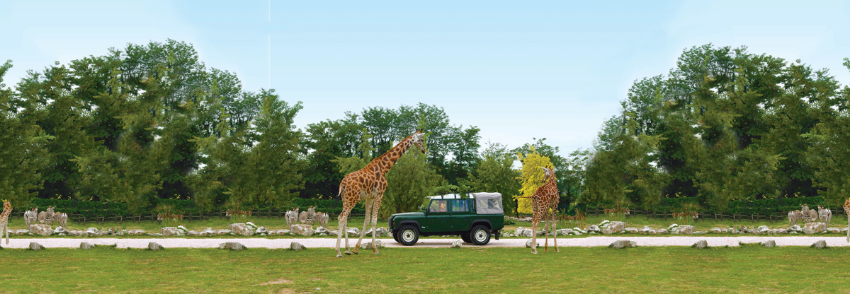 parco-safari-safari-experience-b2b.jpg