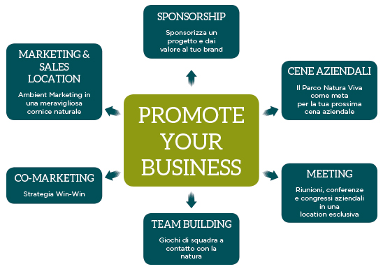 promote-your-business-grafico.jpg
