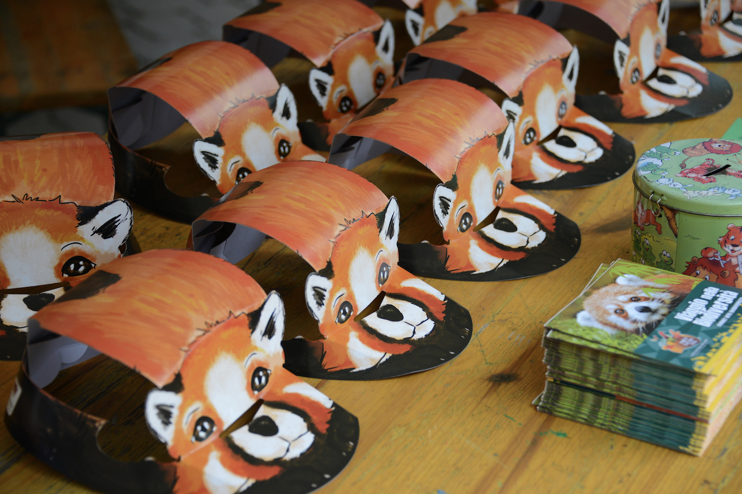 red-panda-day-1.jpg