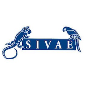 sivae.png