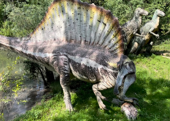 spinosaurus-al-parco-natura-viva.jpg