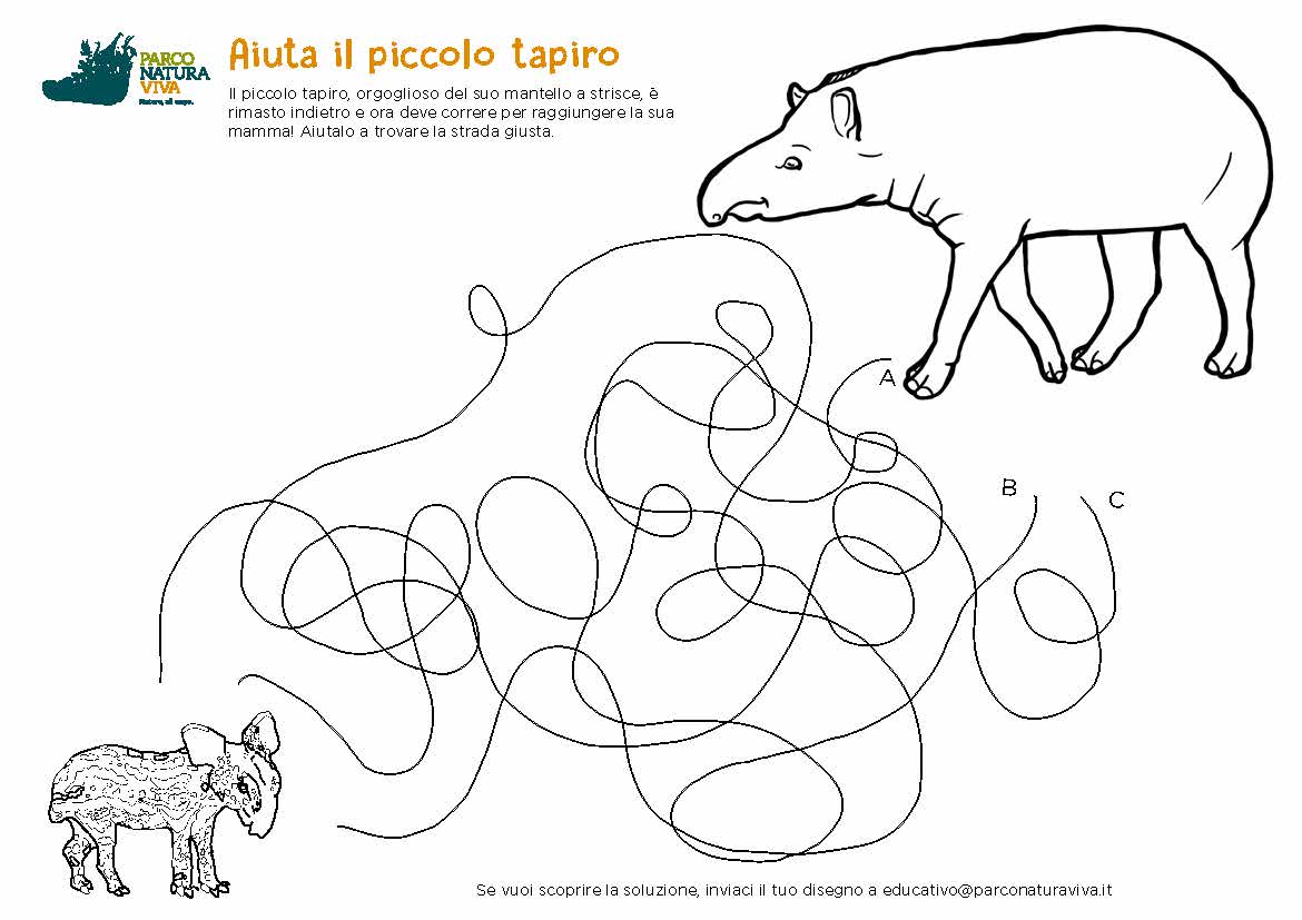 tapiro-cerca-mamma-2021.jpg