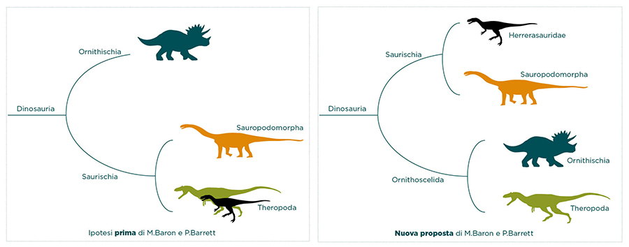 tassonomia-dinosauri.jpg