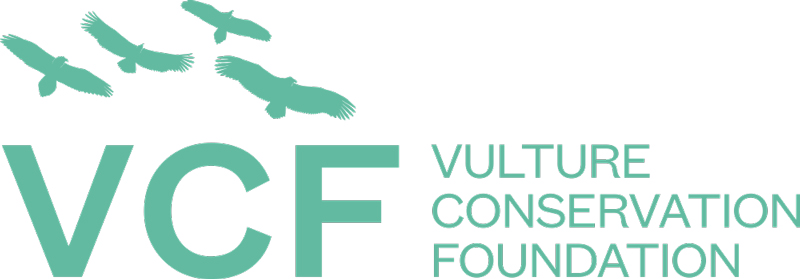 vcf-logo.jpg