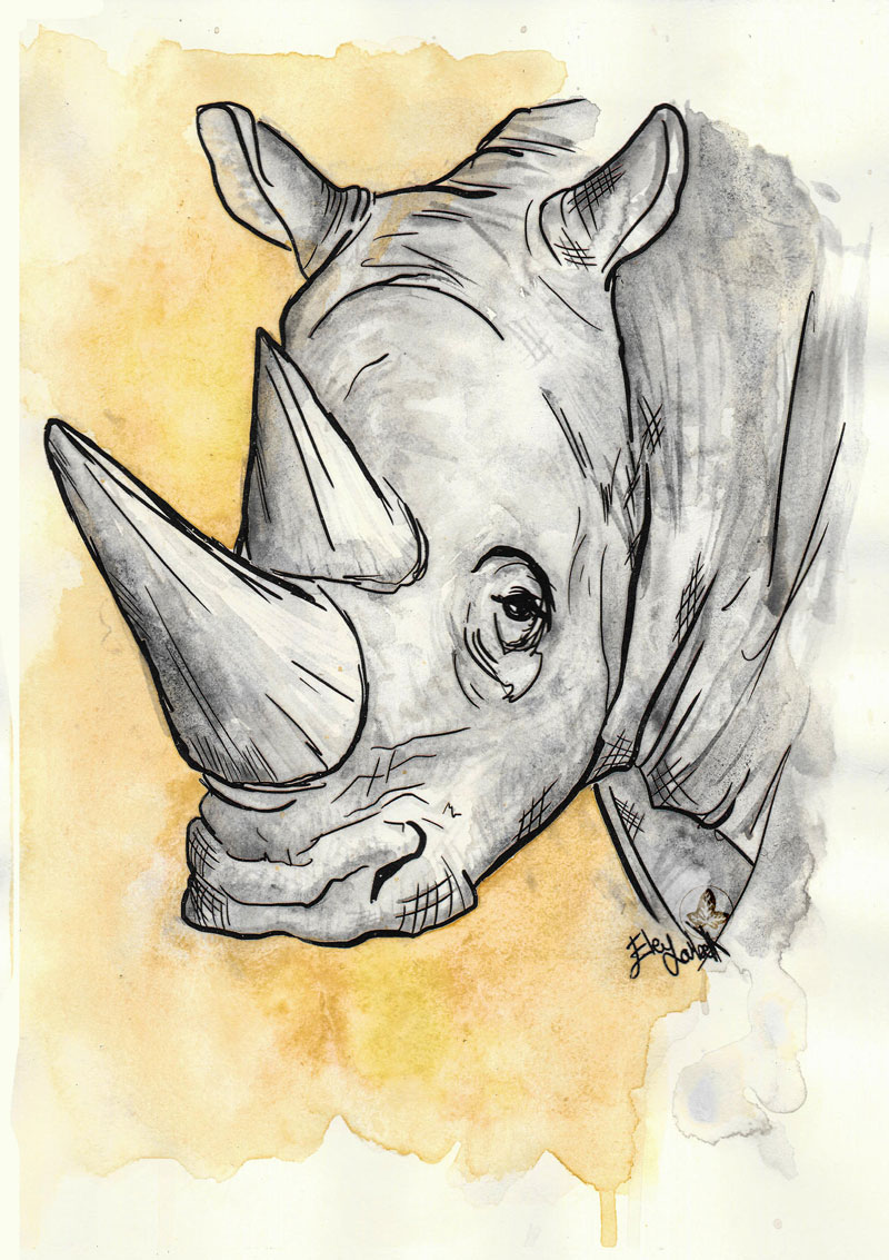white-rhinoceros-by-elenazambelli.jpg