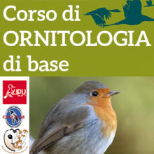 Corso di Ornitologia al Parco Natura Viva