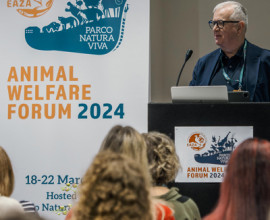 EAZA Animal Welfare Forum